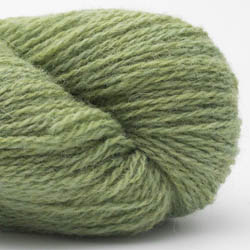 BC Garn Bio Shetland GOTS spring green