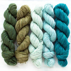 Manos del Uruguay Fino minis kit Hand dyed Flora