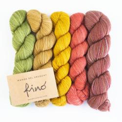 Manos del Uruguay Fino Minis Strickset für Schal & Loop handgefärbt