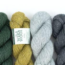 Erika Knight Wild Wool 100g