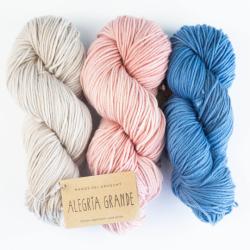 Manos del Uruguay Alegria Grande Semi Solids Hand dyed