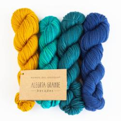 Manos del Uruguay Alegria Grande Bocados 25g Hand dyed