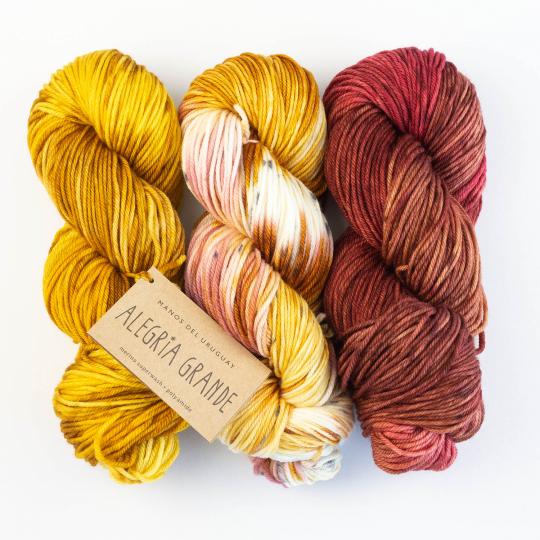 Manos del Uruguay Alegria Space-Dyed Yarn  One BIG Happy Yarn Co. – One  Big Happy