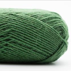 Kremke Soul Wool Edelweiss Alpaka 4-ply 25g 						cactus									