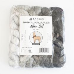 BC Garn Baby Alpaca 10/2 Set 125g