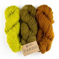 Manos del Uruguay Cardo Semi Solid Handdyed