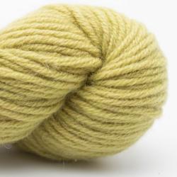 Nomadnoos Dry Desert Camel 8-ply ARAN handgesponnen grass in the sun (light green)