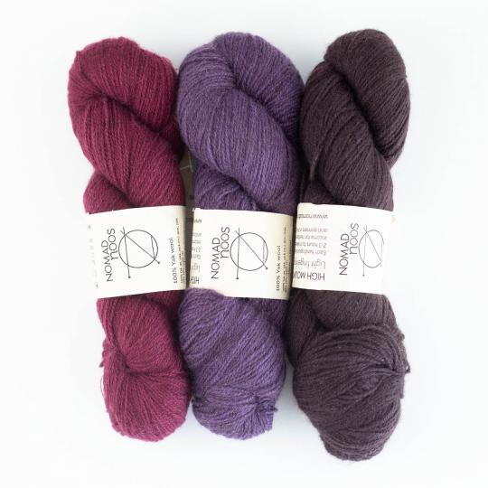 Nomadnoos High Mountain Yak 2-ply light fingering handgesponnen winter garden test (dark bordeaux)