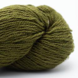 Nomadnoos Dry Desert Camel 4-ply handgesponnen larix autumn smell (dark green)