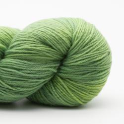 Kremke Soul Wool Lazy Lion Sock Yarn im 500g Paket Sommergrün