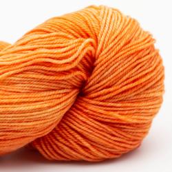 Cowgirl Blues Proper Sock Solids 100g handgefärbt Carrot Juice