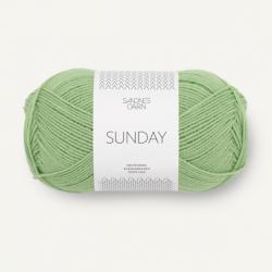 Sandnes Garn Sunday spring green