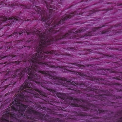 Rowan Moordale peony