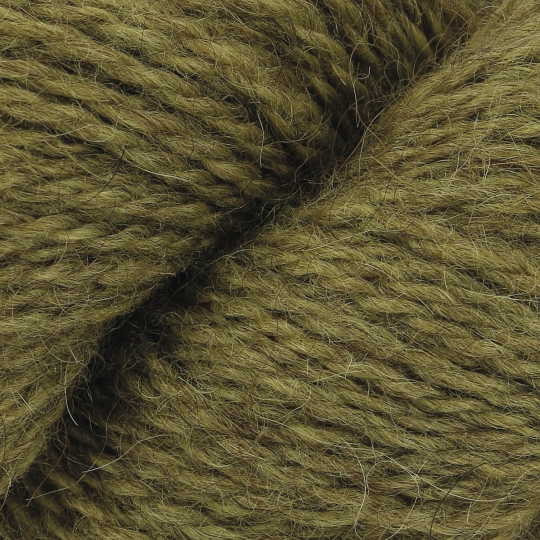 Rowan Moordale gooseberry