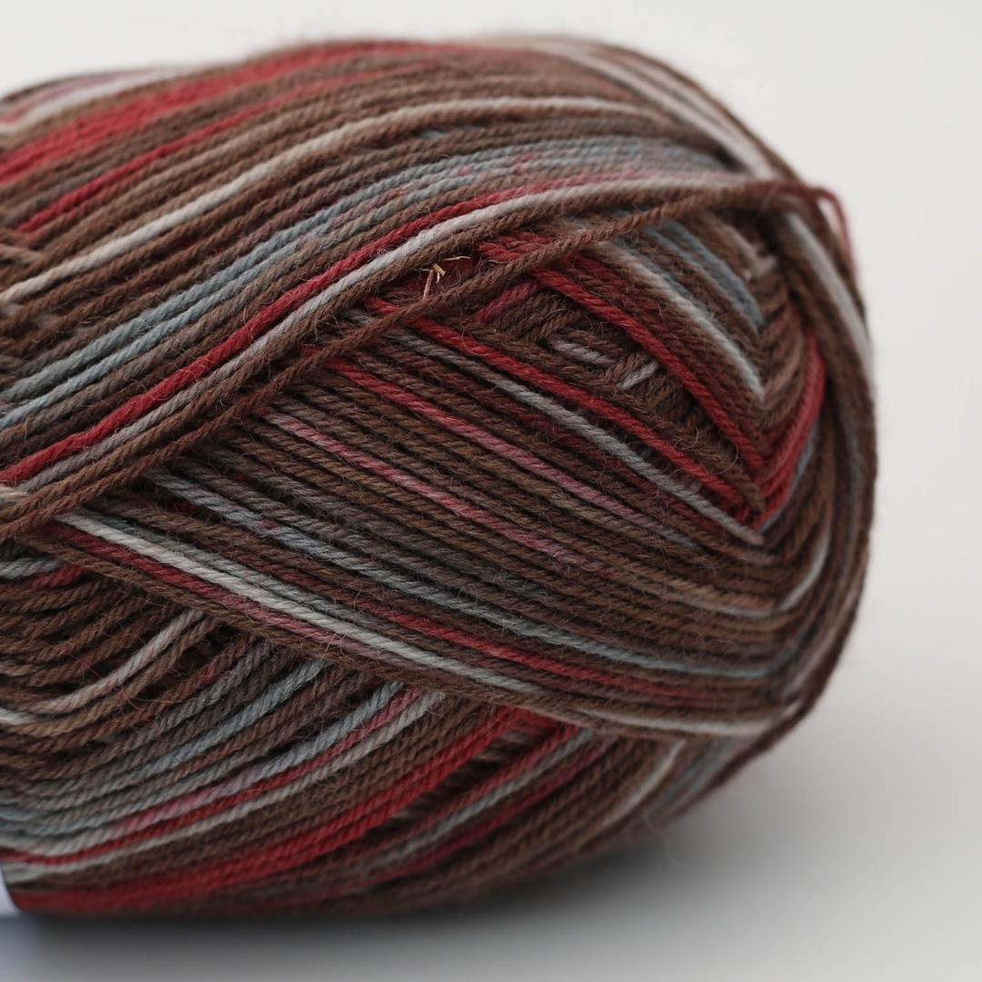 Socks & More Collection 4ply