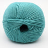 Light Teal