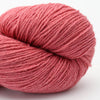 Pale red SOLID