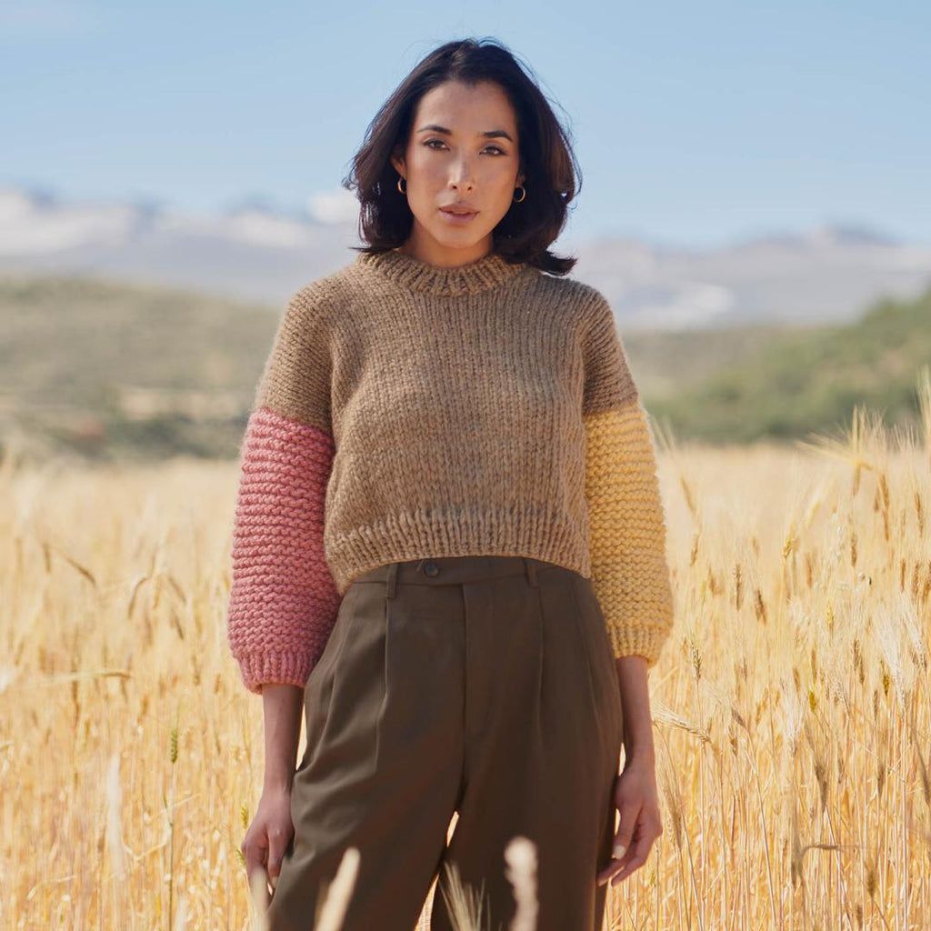 Anleitung Roberta Pullover