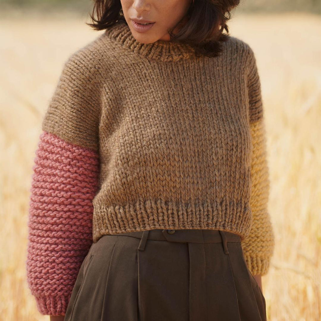 Anleitung Roberta Pullover