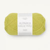 sunny lime