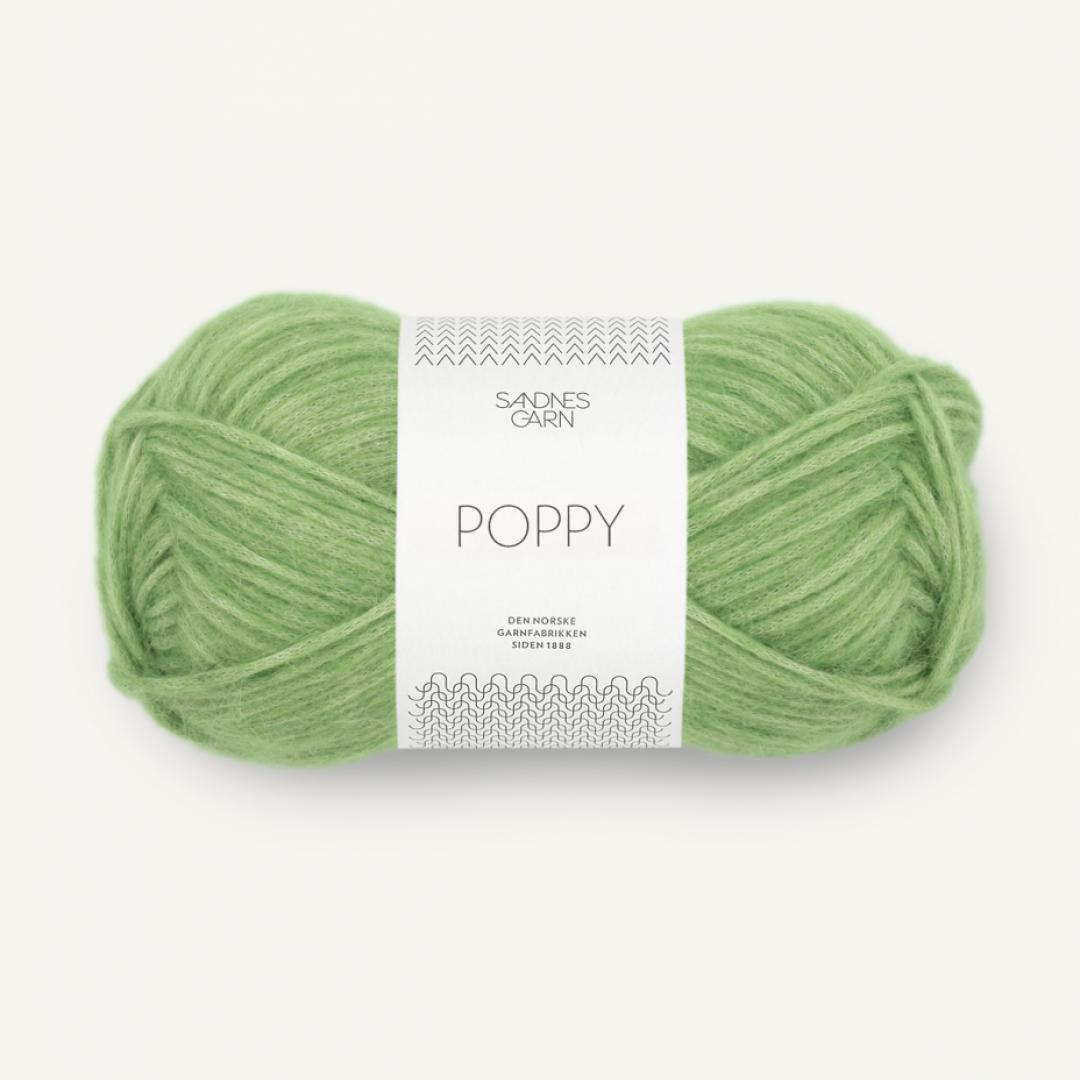 Poppy