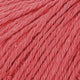 Cotton Cashmere
