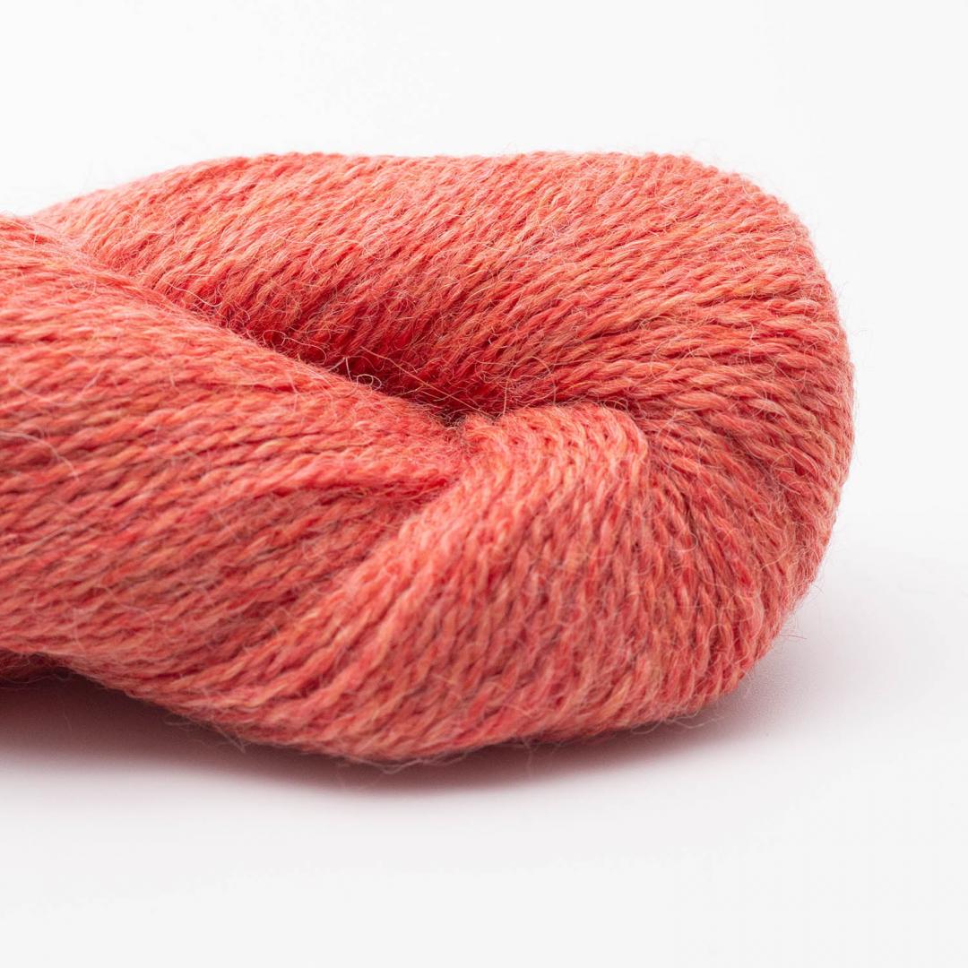 Babyalpaca 10/2 auf 50g RAS