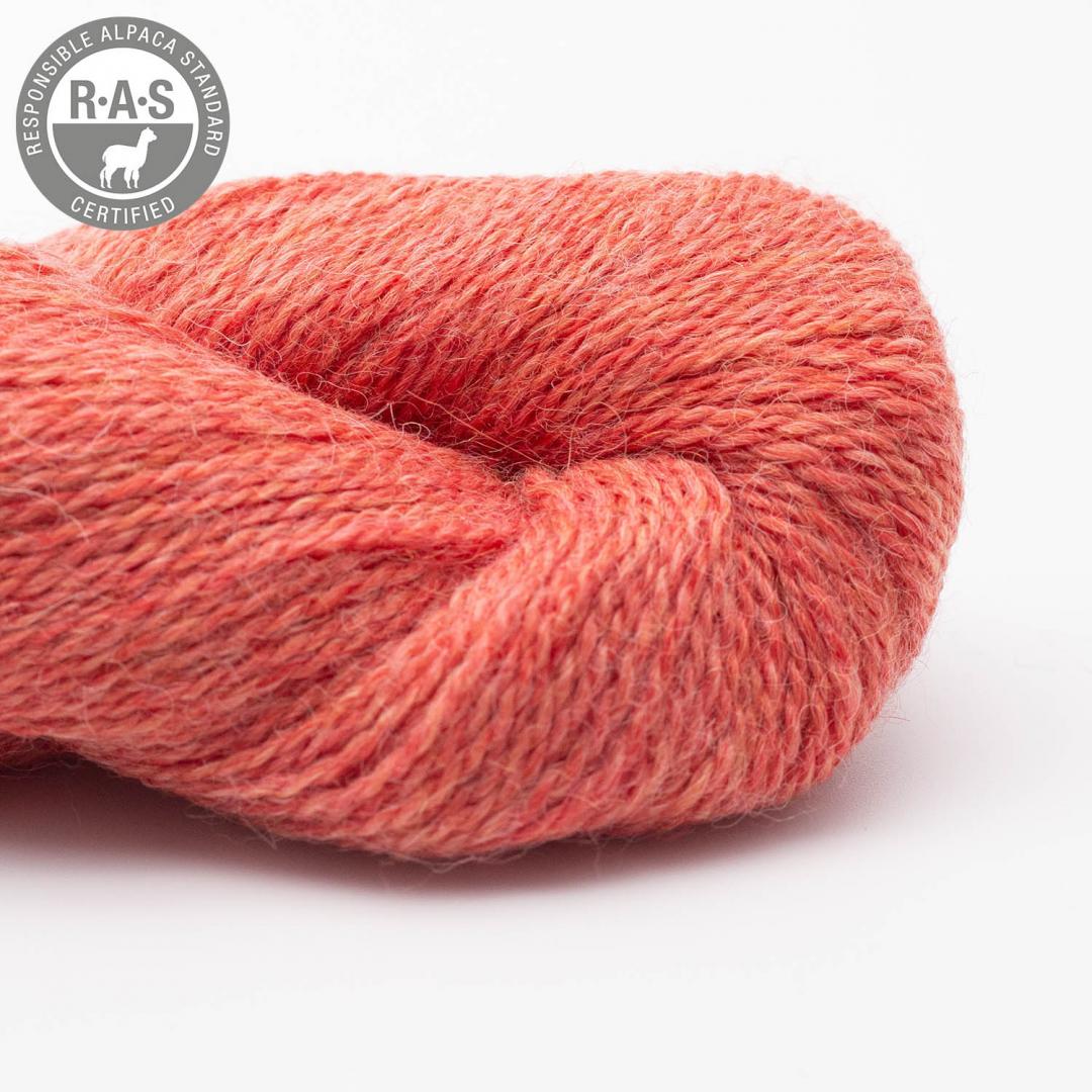 Babyalpaca 10/2 auf 50g