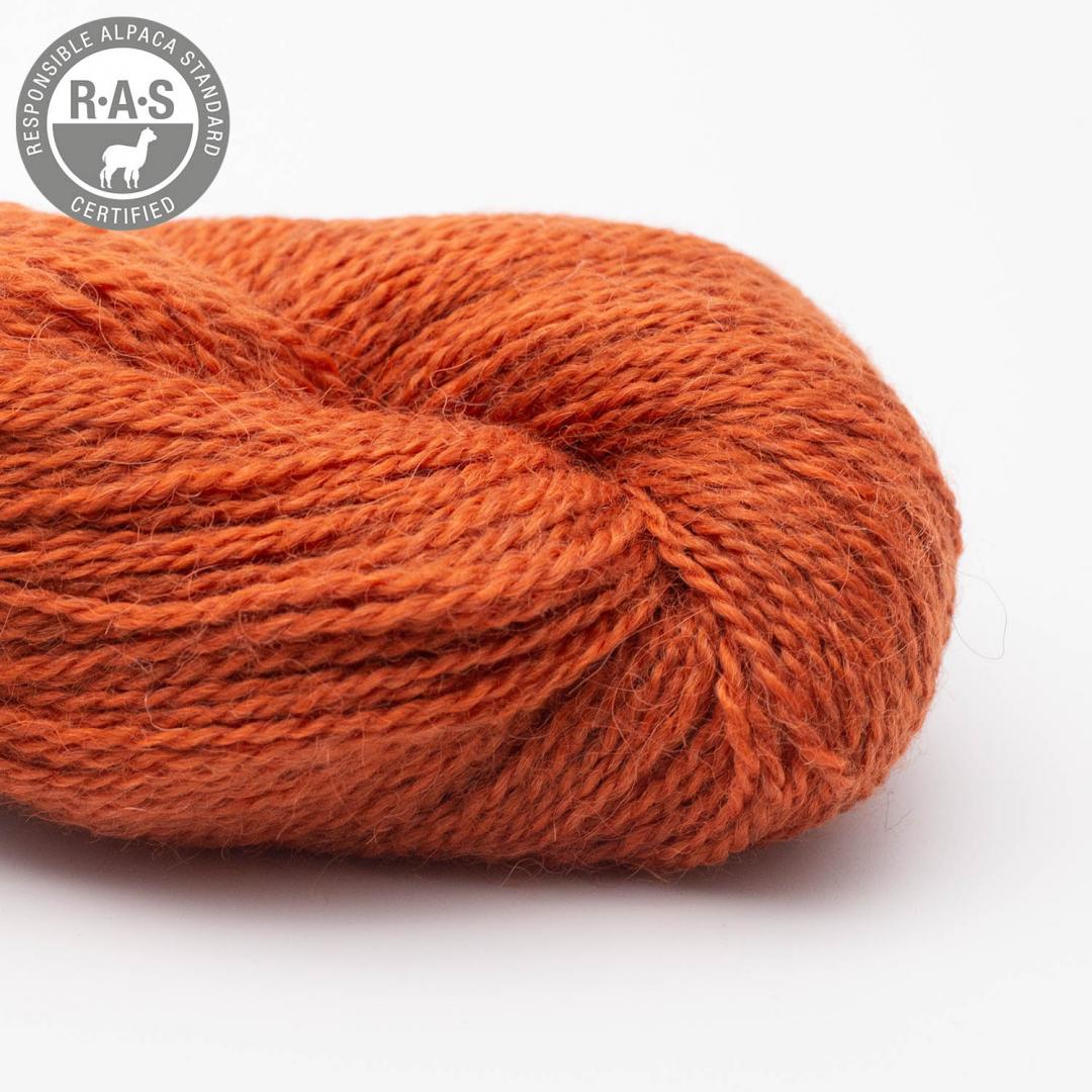 Babyalpaca 10/2 auf 50g