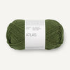 vert olive foncé
