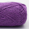 Orchideen Violett