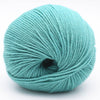 Light Teal