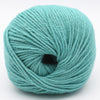 Light Teal