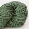 Waouh, vert indigo